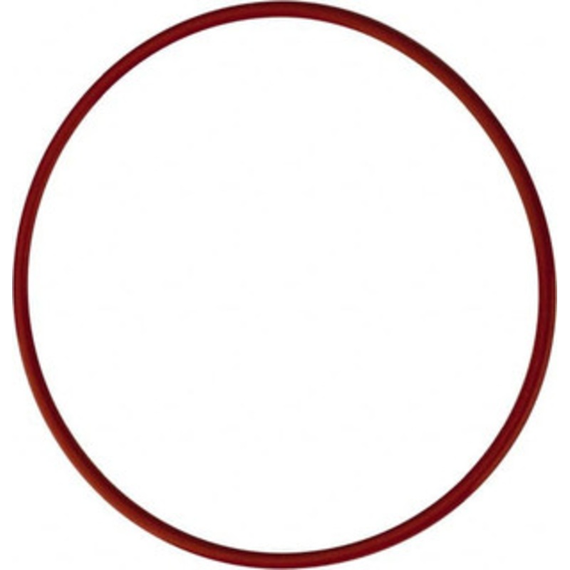 Pentair -241 Silicone FDA Grade, Cartridge Filter O Ring For Use with U.S. Filters – No. 10, No. 12 and No. 20 Standard Housings 151118 – 37022449