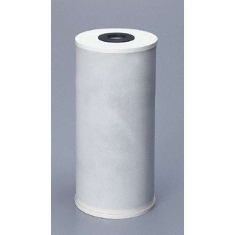 Pentair 4-1/2 OD, 25, Granular Activated Carbon Radial Flow Cartridge Filter 9-3/4 Long, Reduces Tastes, Odors & Sediments 155141-43 – 37023439
