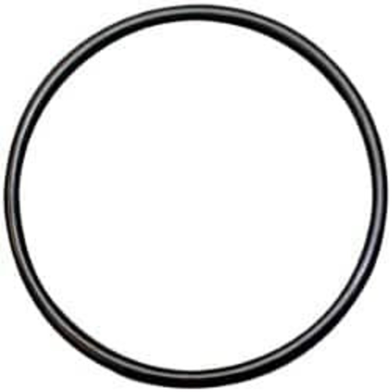 DuPont Cartridge Filter O Ring For Use with Standard FilterSystem WFAO200 – 64584881